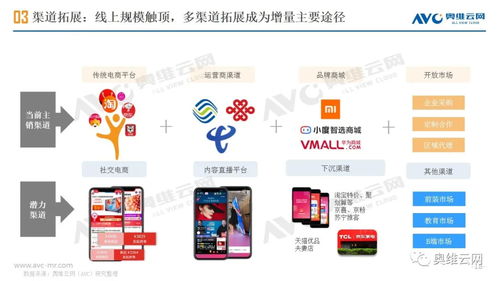 2021年h1中国智能音箱市场总结报告