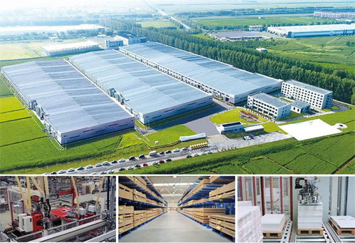 z世代瞩目的8种家装美 让美学充斥家的每一个角落