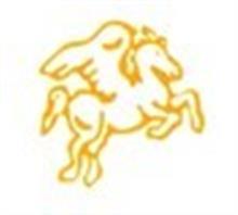 济南天马机器联系方式