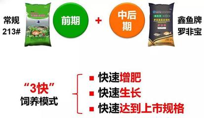 农户增产丰收的好帮手!--天马科技"鑫鱼牌"罗非宝!