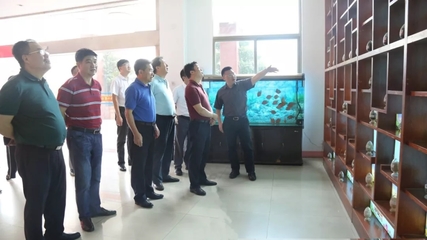 湖北省咸宁市嘉鱼县王永县长、县人大常委会李新华主任一行莅临天马科技集团考察调研