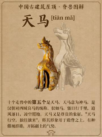 梅元TV天马 数字时代下的娱乐新风向