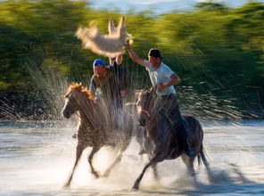 这就是昭苏,万物复苏的地方