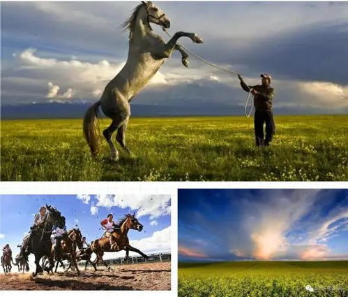 2020中国新疆伊犁天马国际旅游节线上“云游昭苏”即将启幕